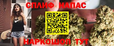 мет Дубна