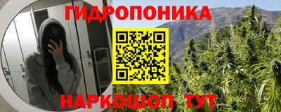 apvp Донской